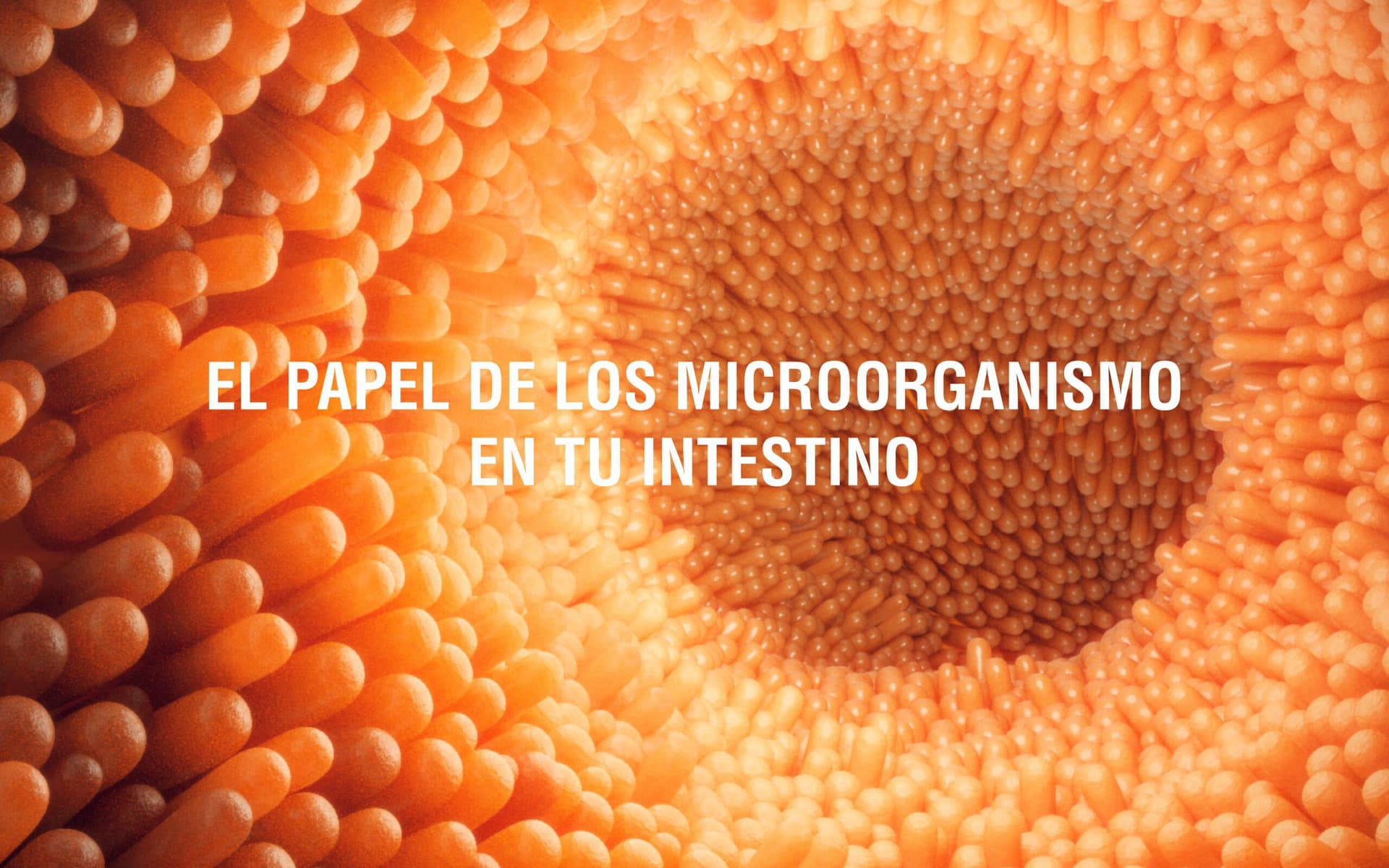 Lo que necesitas saber de tu microbiota intestinal