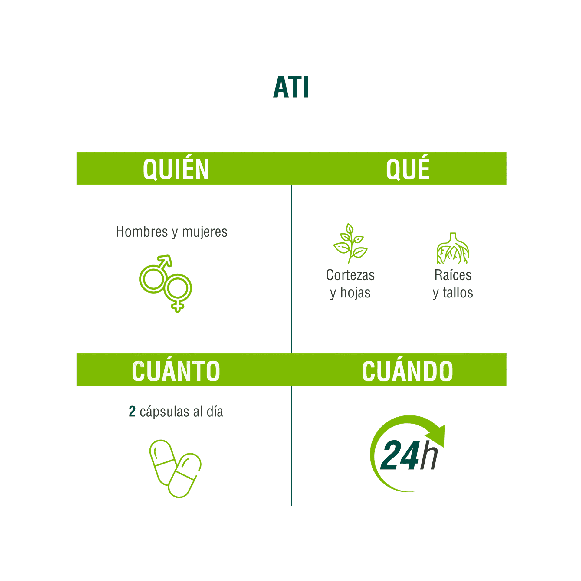 ATI 90 cápsulas | Adaptoheal® - imagen 4