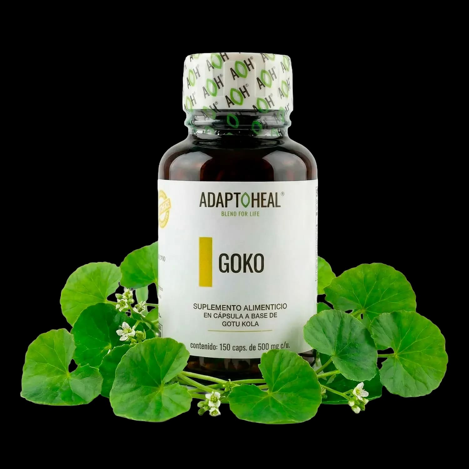 Gotu Kola 150 cápsulas | 500mg Adaptoheal®