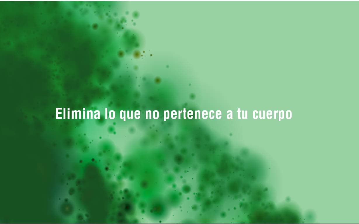 6 consejos para eliminar toxinas