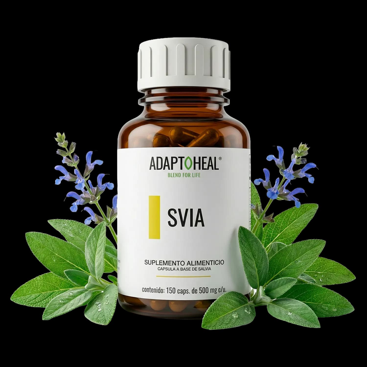 Salvia 150 cápsulas | 500mg Adaptoheal®