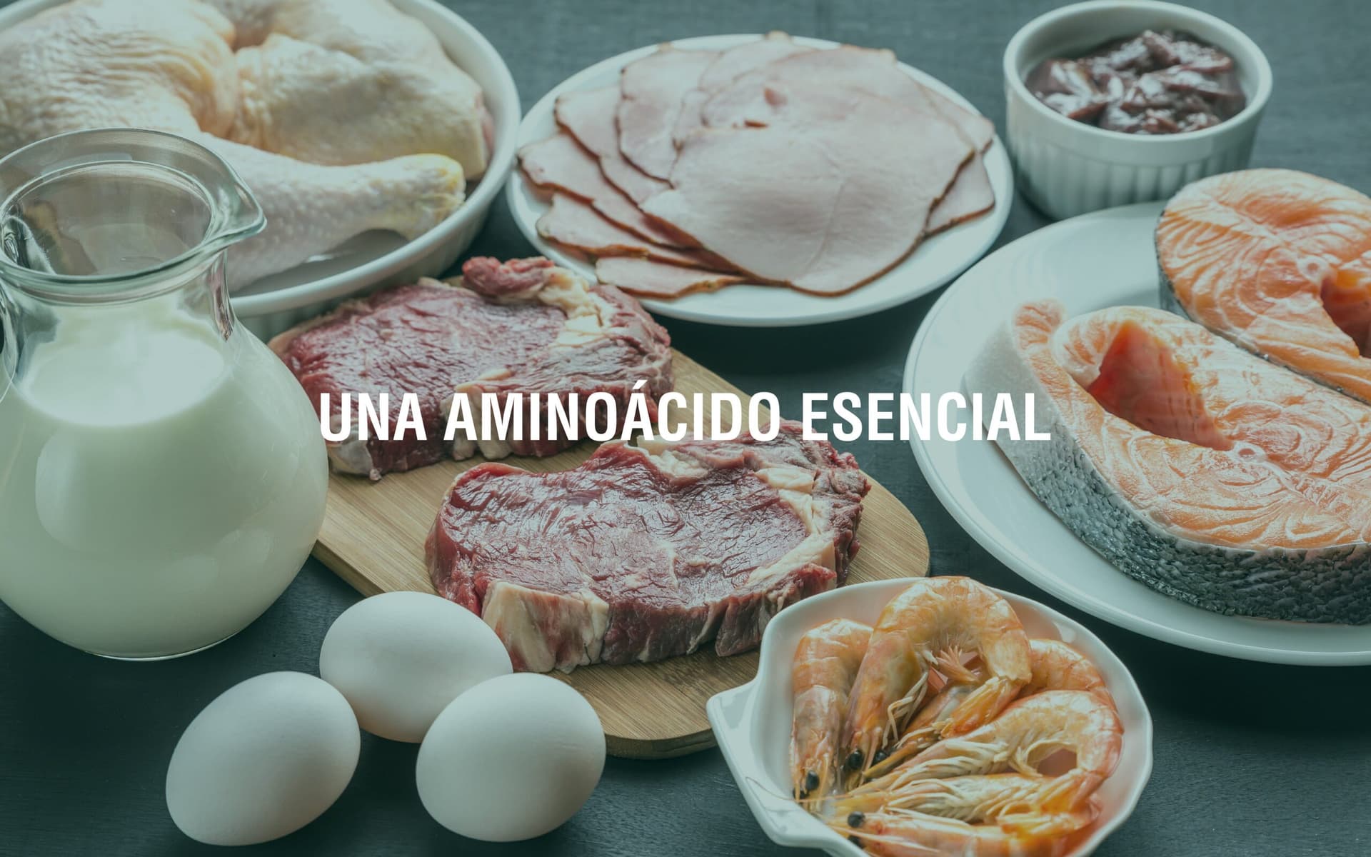 Triptófano: que es, sus beneficios y alimentos que lo contienen