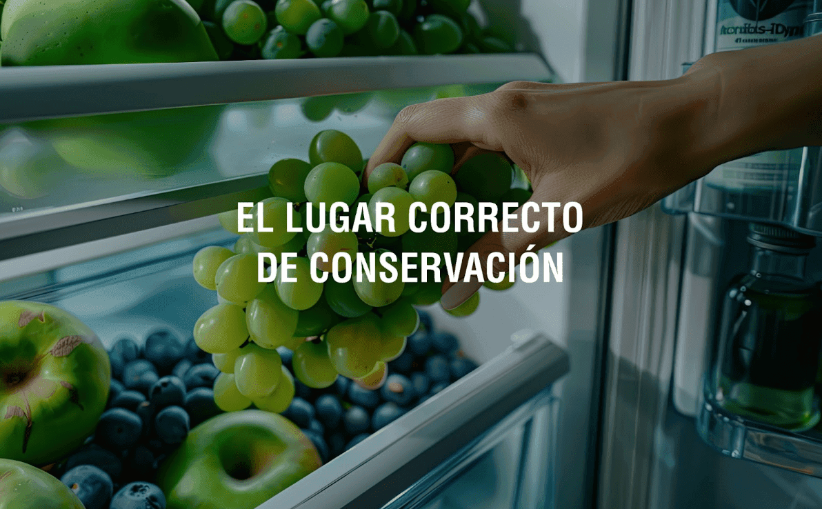 Frutas y verduras: Dónde almacenarlas para mantener su frescura