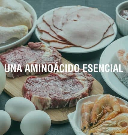 Triptófano: que es, sus beneficios y alimentos que lo contienen