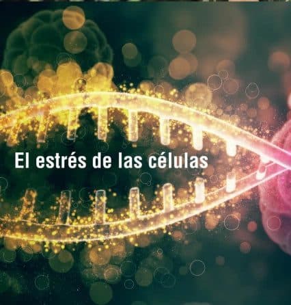 ¿Qué es el estrés oxidativo?