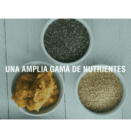 Hablemos de los superalimentos