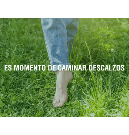 Guía completa sobre el grounding